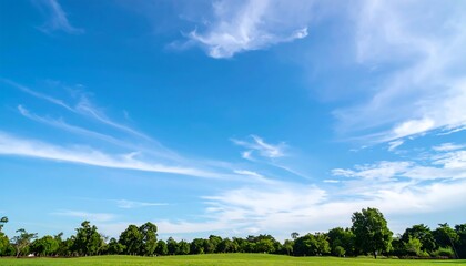Expansive skyscape over verdant field with wispy clouds creating serene atmosphere