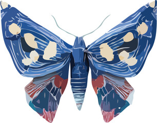 butterfly vector art