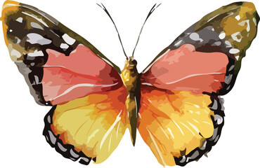butterfly vector art