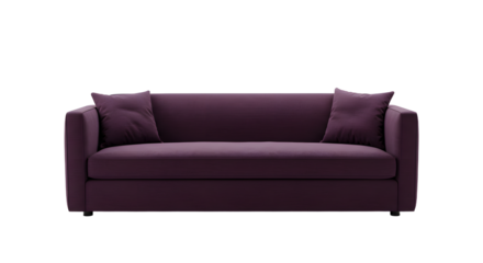 Elegant Purple Sofa with Throw Pillows in Modern Living Room