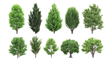 Trees show various green foliage against a transparent background.