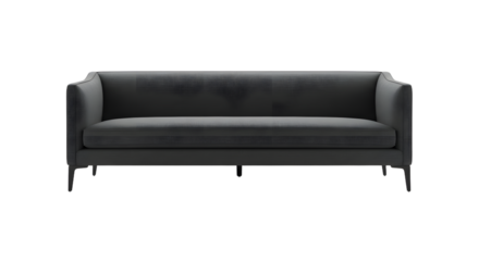 Modern Black Sofa for Living Room Decor, Minimalist Home Furniture