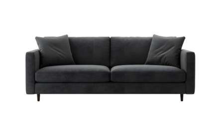 Modern Black Sofa with Cushions in Stylish Living Room for Home Decor and Interior Design