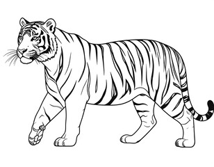 Naklejka premium Black and white line drawing of a tiger