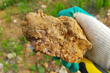 Specimen of sinter chalcedony from the weathering crust of sedimentary rocks of central Russia, field photo