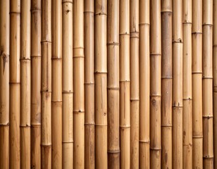 Fototapeta premium Close-up bamboo wall