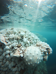 Marine white pebbles underwater.