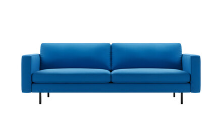 Modern Blue Sofa with Cushioned Seating in Living Room Interior