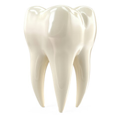 A white tooth model on a transparent background