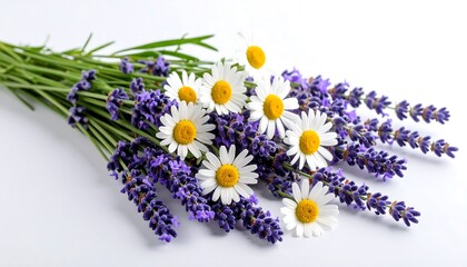 Floral bouquet of lavender and daisies