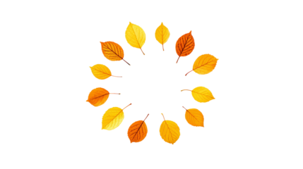 Autumn Leaves Circle an Empty Space with a Transparent Background.