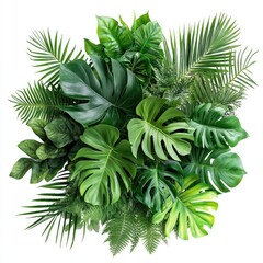 Lush, vibrant green foliage arrangement.  Various tropical plants, leaves, and palms in a circular display against a white background.  Healthy, vibrant greens