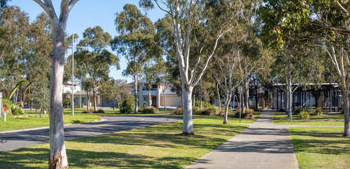 Tree-lined suburban park with pedestrian paths and native eucalyptus trees in Point Cook,...