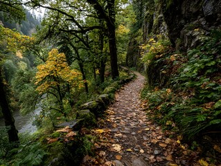 Fototapeta premium A winding forest trail covered in fallen leaves leads through a vibrant autumn landscape near a river.