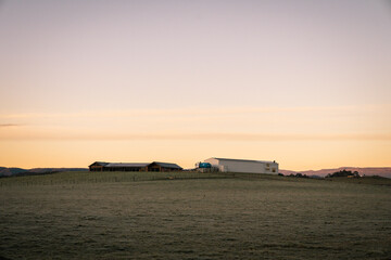 Obraz premium Peaceful farm buildings on gentle green hills under a pastel sky at sunrise ideal for rural landscape and countryside living themes