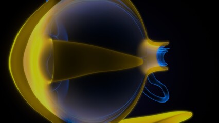 Human Eye Anatomy. 3D Illustrations