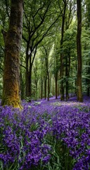 Fototapeta premium Lush forest floor blanketed in vibrant purple flowers (1)