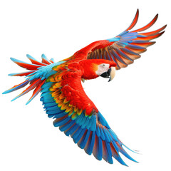 Fototapeta premium Vibrant macaw in flight against a black background. Colorful plumage, wide-spread wings, dynamic pose