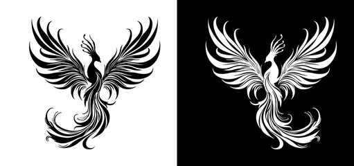 black and white wings