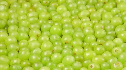 Professional camera gliding past abundant clusters of ripe, verdant green grapes revealing natural agricultural freshness and nutritional bounty