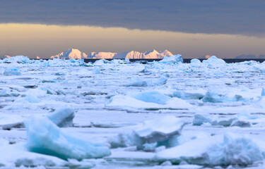 Floating ice on the ocean with mountains in the background in the arctic of Svalbard, Norway © Reto Ammann