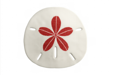 White sand dollar with red five-petal flower decoration on transparent background
