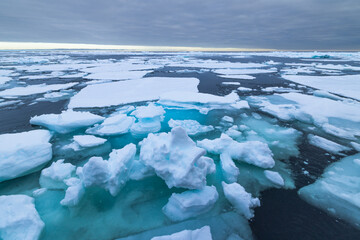 Floating ice on the ocean with cloud reflection in the arctic of Svalbard, Norway © Reto Ammann