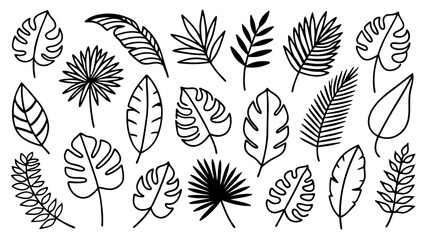 Tropical leaves line art bundle, Outline botanical vector icons including monstera, palm, banana, fern, palm fan silhouettes