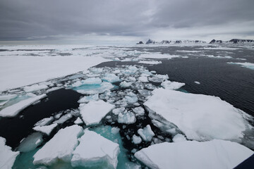 Floating ice on the ocean with mountains in the background in the arctic of Svalbard, Norway © Reto Ammann