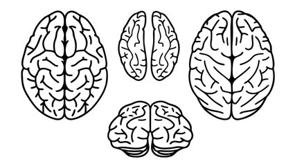 Vector Human Brain Line Art