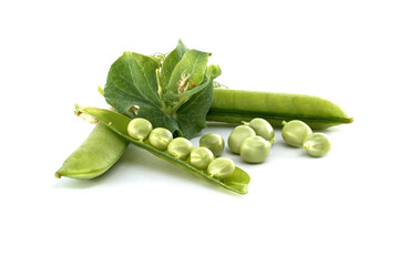 A close-up view of fresh green pea pods with ripe peas.