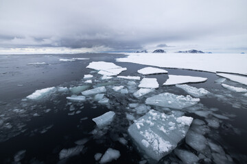 Floating ice on the ocean with mountains in the background in the arctic of Svalbard, Norway © Reto Ammann