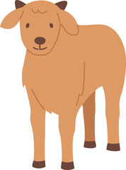 Goat Qurban sacrificial animal for Eid al Adha

