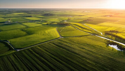 Aerial view of sunlit patchwork farmland