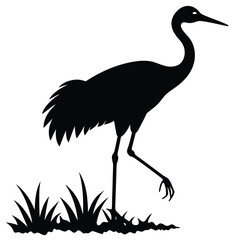 heron on a white background