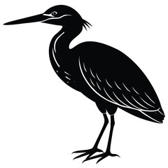 Fototapeta premium heron on the beach