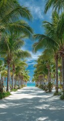 Obraz premium Tropical walkway through palm trees to a beach