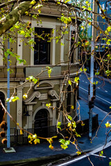 Winter in Sydney City