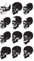Obraz premium Skull Silhouette Vectors , black silhouettes isolated on white background