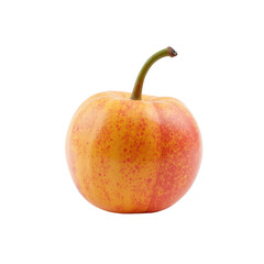 Close-up of a colorful plum.