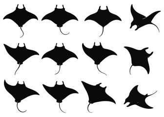 Silhouette illustration of multiple manta rays in various positions, swimming.
