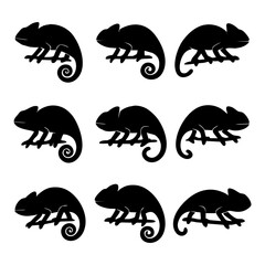 Nine stylized chameleon silhouettes in various poses, perched on branches, presented in a grid.