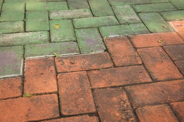 a path paved with paver tiles in the park
