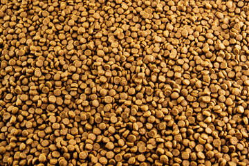 Dog and cat dry food splattered. Abstract textured background