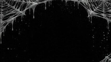 White draped spiderwebs frame a black background Webbing sags with white droplets and the lower area includes small dispersed white particles