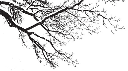 Snow-covered branches in a winter scene. silhouette illustration