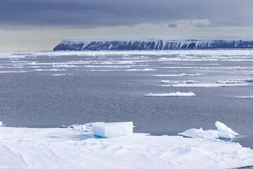 Floating ice on the ocean with mountains in the background in the arctic of Svalbard, Norway © Reto Ammann