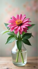 Fototapeta premium Single pink zinnia in a clear glass vase on a wooden surface with leaves