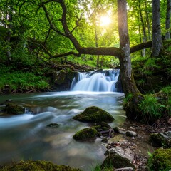 Obraz premium Forest stream waterfall