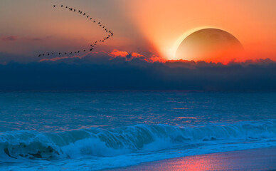 Fototapety na wymiar - Fototapeta24.pl